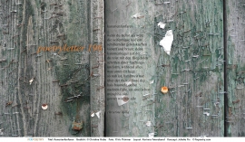 Poetryletter 196, Christine Hoba, Iris Thürmer, Korinna Feierabend