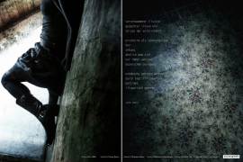 Poetryletter 266, Caca Savic, Carmen Renn, Korinna Feierabend,  Januar 2014