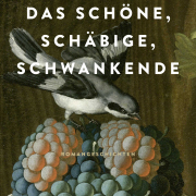 Das Schöne, Schäbige, Schwankende / Romangeschichten, Brigitte Kronauer, Klett-Cotta 2019