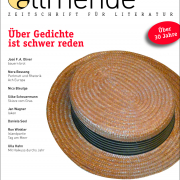 Allmende 89