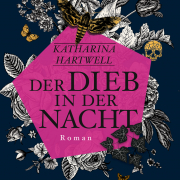 Der Dieb in der Nacht