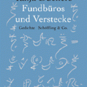 Fundbüros und Verstecke, Tanja Dückers, Schöffling