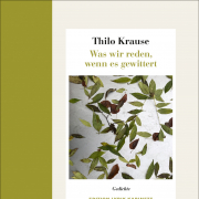 Was wir reden, wenn es gewittert