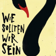 Wie sollten wir sein, Sheila Heti, Rowohlt
