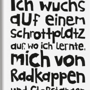 Ich wuchs auf einem Schrottplatz auf, wo ich lernte, mich von Radkappen und Stoßstangen zu ernähren