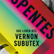 Das Leben des Vernon Subutex