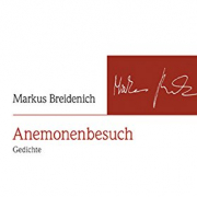 Anemonenbesuch