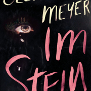 Im Stein, Clemens Meyer, S. Fischer