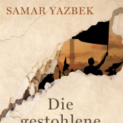 Die gestohlene Revolution