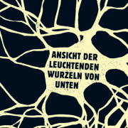 Ansicht der leuchtenden  Wurzeln von unten