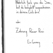 Wahrlich fuck you du Sau, bist du komplett zugeschissen in deinem Leib drin: Zehrung Reiser Rosi, Lydia Haider 2018