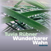 Tuvia Rübner, Wunderbarer Wahn, Rimbaud