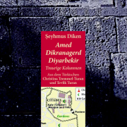 Amed Dikranagerd Diyarbekir/ Traurige Kolumnen