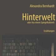 Hinterwelt oder Aus einem Spiegelkabinett