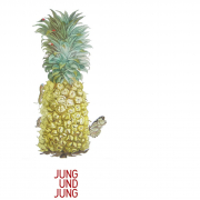 Wallace Stevens, Teile einer Welt, Jung und Jung