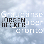 Graugänse über Toronto - Journalgedicht