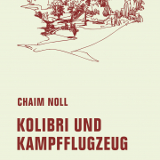 Kolibri und Kampfflugzeug