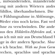 Hölderlin-Hybride