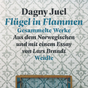 Flügel in Flammen