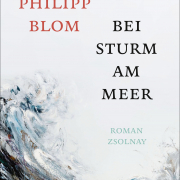 Bei Sturm am Meer