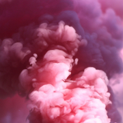 Photo by austin chan on unsplash