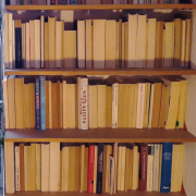 My white male bookshelf  bei Philipp Scholtysik; Autor, Dramaturg.
