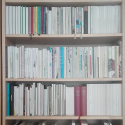 my white male bookshelf steht bei Tristan Marquardt, Lyriker