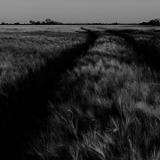 foto via unsplash marina mazur, thanx a million