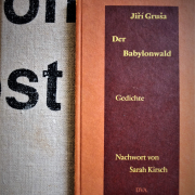 Jiří Gruša: Der Babylonwald. Gedichte. DVA 1991