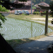 Der Weg nach Tokyo (1)