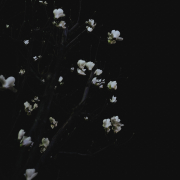 foto via unsplash masaaki komori, thanx a million