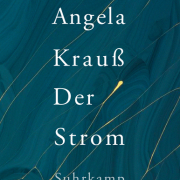 Der Strom
