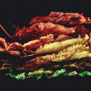 foto via unsplash davide ragusa, thanx a million