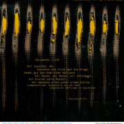 Poetryletter 80, Julietta Fix, Frank Milautzcki, Korinna Feierabend