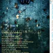 Poetryletter 115, Julietta Fix, Carmen Renn, Korinna Feierabend