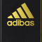 adibas, Aufbau Verlag