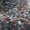 Money makes the world go round … oder nicht
