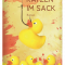 Katzen im sack
