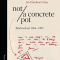 not/a concrete pot · Briefwechsel 1964–1985