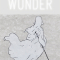 Wunder / Akzente 1 / 2019, Hanser Verlage