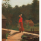Der scharlachrote Buchstabe, Nathaniel Hawthorne, Hanser