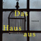 Haus aus Stein Penguin 2019