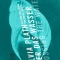 Silvia Plath, Crossing the water, luxbooks