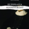 Euphrasia | Augentrost