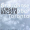 Graugänse über Toronto - Journalgedicht