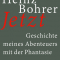 Jetzt - Geschichte meines Abenteuers mit der Phantasie