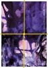dasselbe blau, Johanna Hansen, Vinscript Verlag