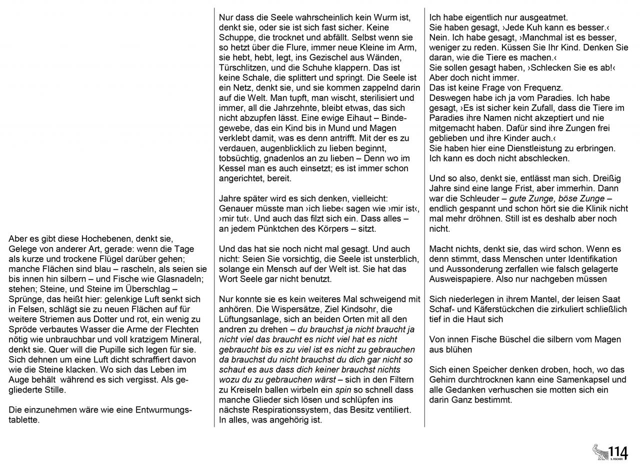 Anja Utler, Aus der Welt. In 33 Sätzen (II,x)
