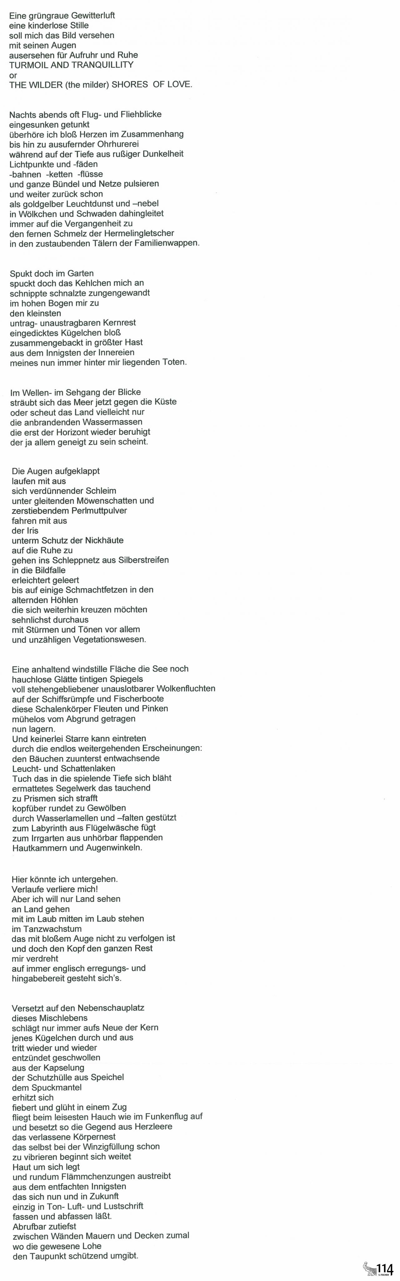Anne Duden, VOM AUGE ABGESEHEN
