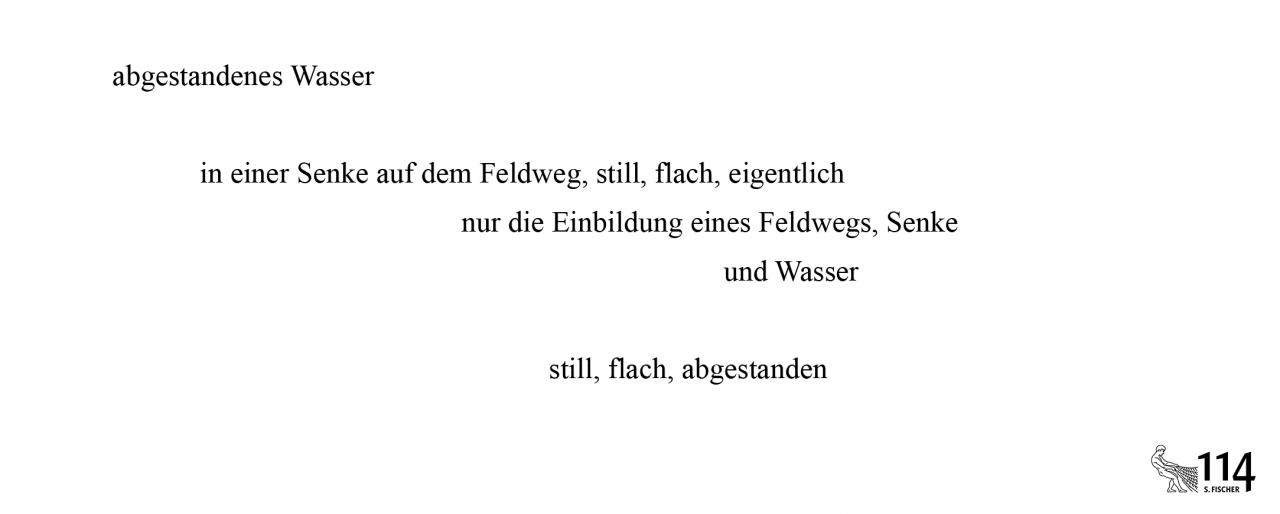 Brigitte Oleschinski, abgestandenes Wasser